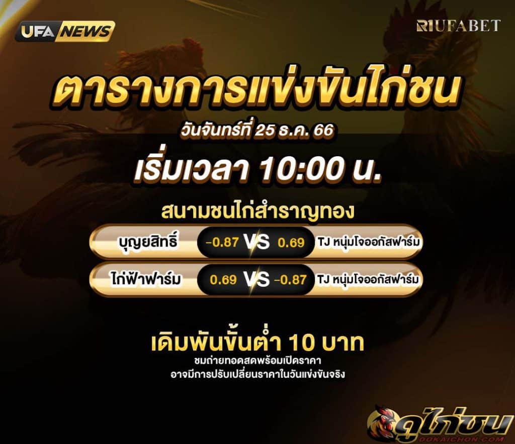 ตารางไก่ชน25-12-66