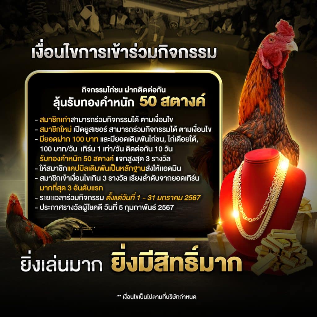 เงื่อนไขกิจกรรมไก่ชน