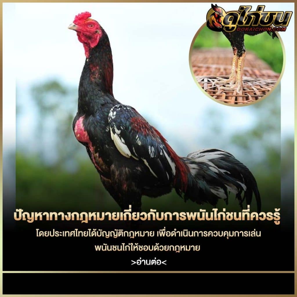 ปัญหาทางกฎหมาย
