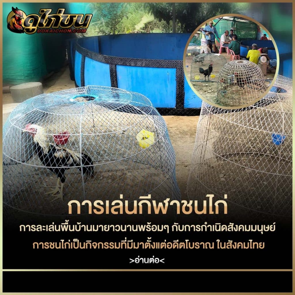 การส่งเสริมกีฬาไก่ชน
